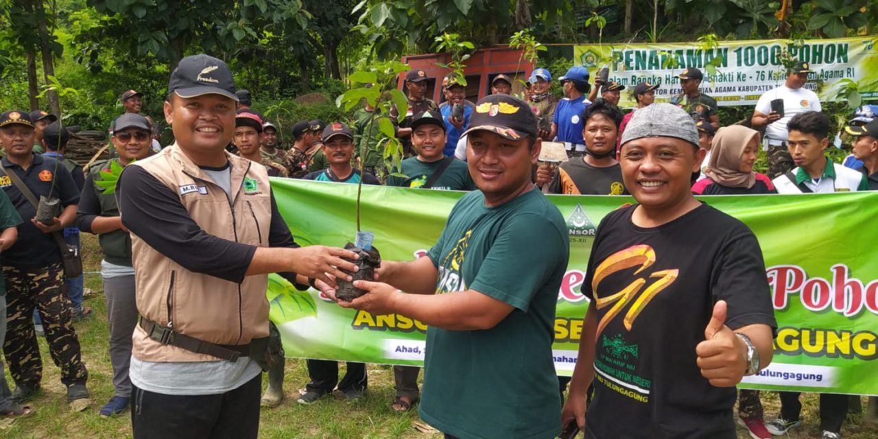 Peduli Linkungan, GP Ansor Tulungagung Tanam 1000 Pohon Alpukat
