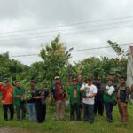 Pimpinan Cabang Gerakan Pemuda Ansor Tulungagung Tanam Alpukat dan Jambu Kristal di Pucanglaban, Wujud Nyata Peduli Lingkungan