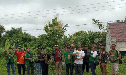 Pimpinan Cabang Gerakan Pemuda Ansor Tulungagung Tanam Alpukat dan Jambu Kristal di Pucanglaban, Wujud Nyata Peduli Lingkungan